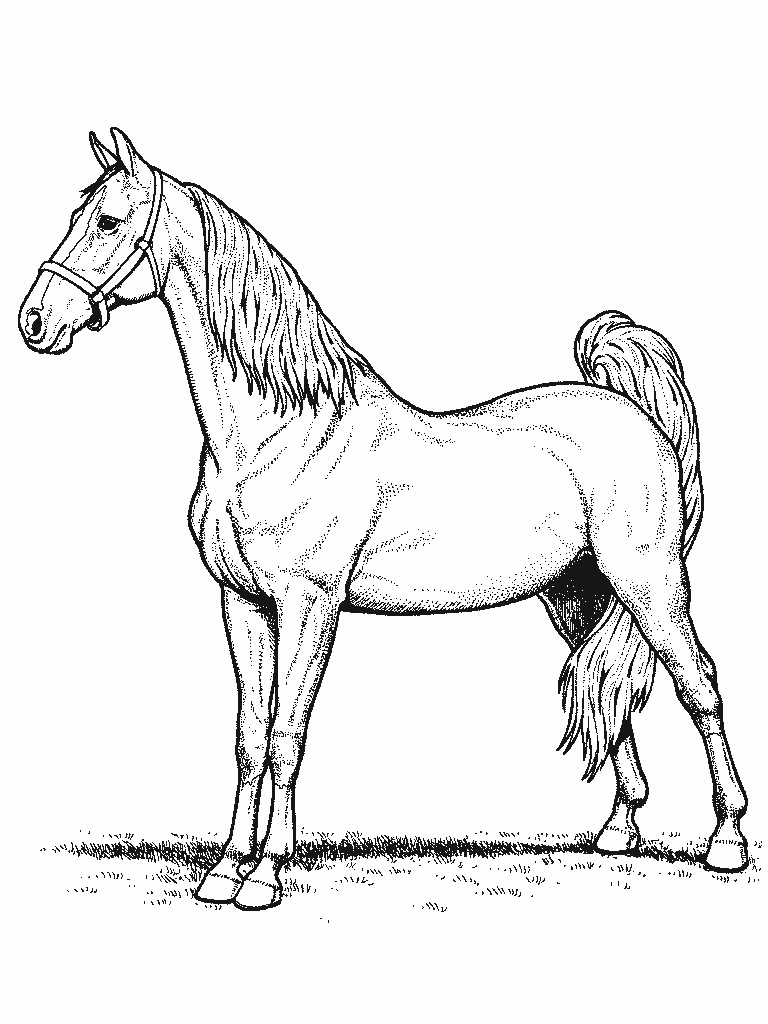 cheval013.gif - Dessins cheval à colorier