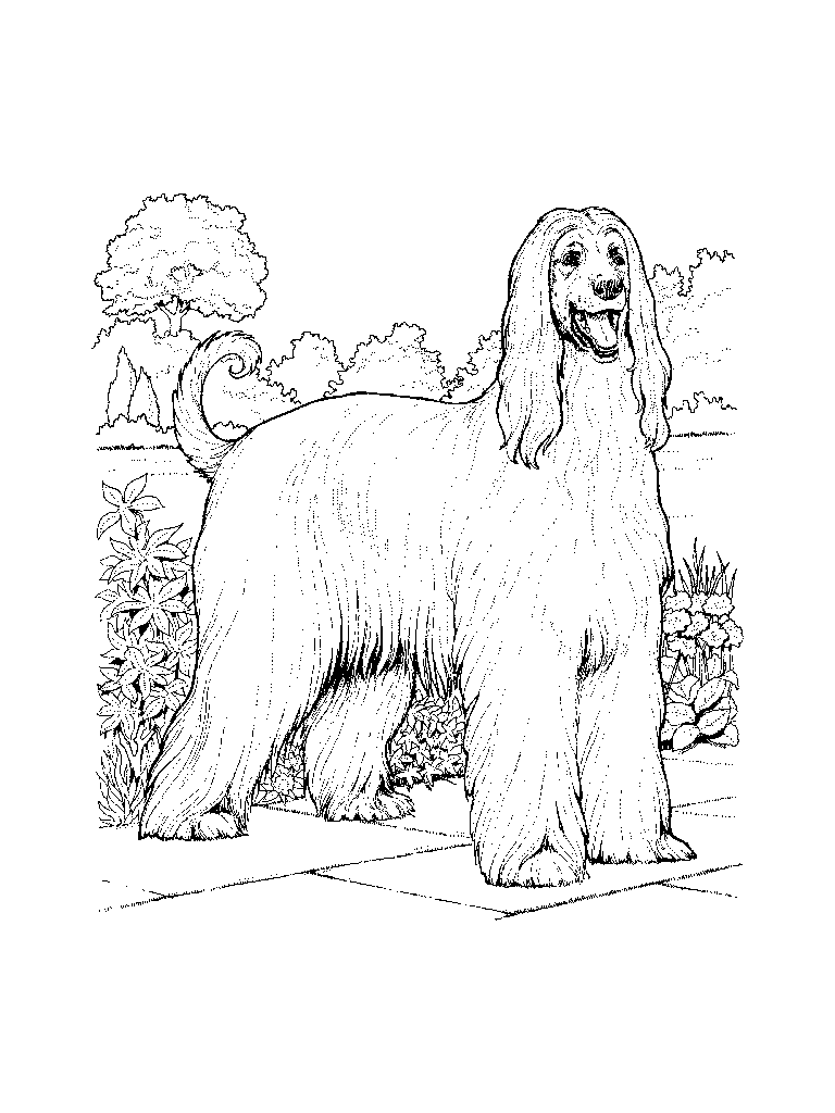 chien004.gif - Dessins chien à colorier