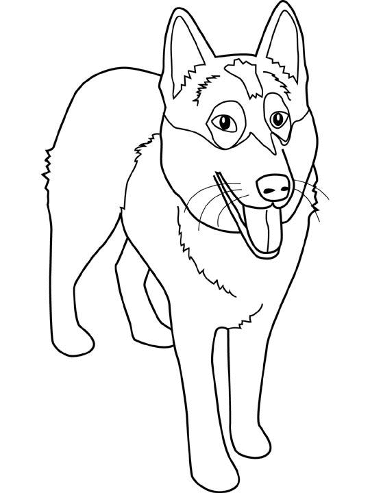 chien005.gif - Dessins chien à colorier