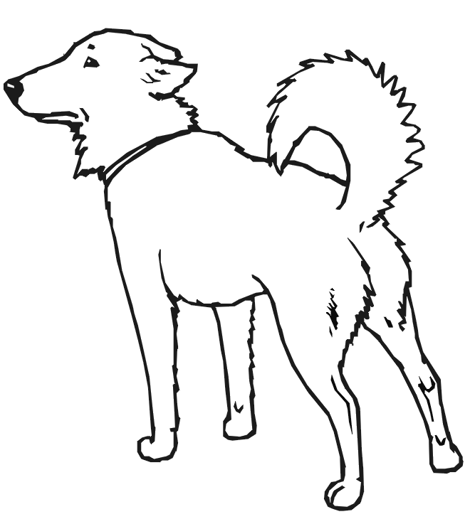chien028.gif - Dessins chien à colorier