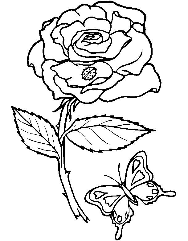 fleurs_04.gif - Dessins fleur à colorier