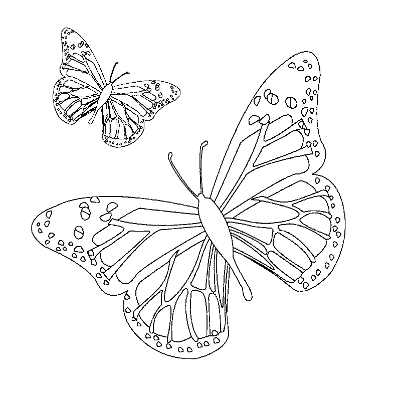 papillon_01.gif - Dessins papillon à colorier