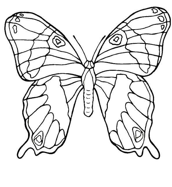 papillon_09.gif - Dessins papillon à colorier