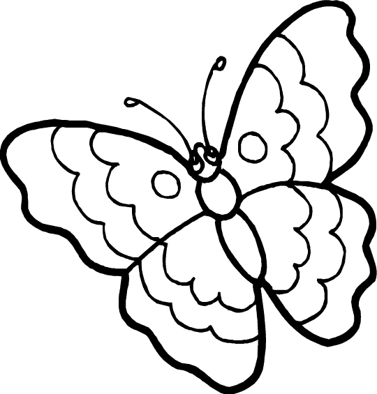 papillon_14.gif - Dessins papillon à colorier
