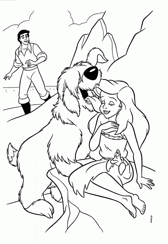 animaux003.gif - Dessins animaux à colorier