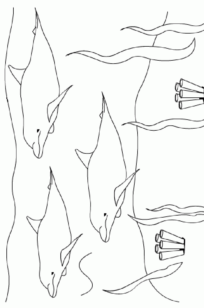 animaux005.gif - Dessins animaux à colorier