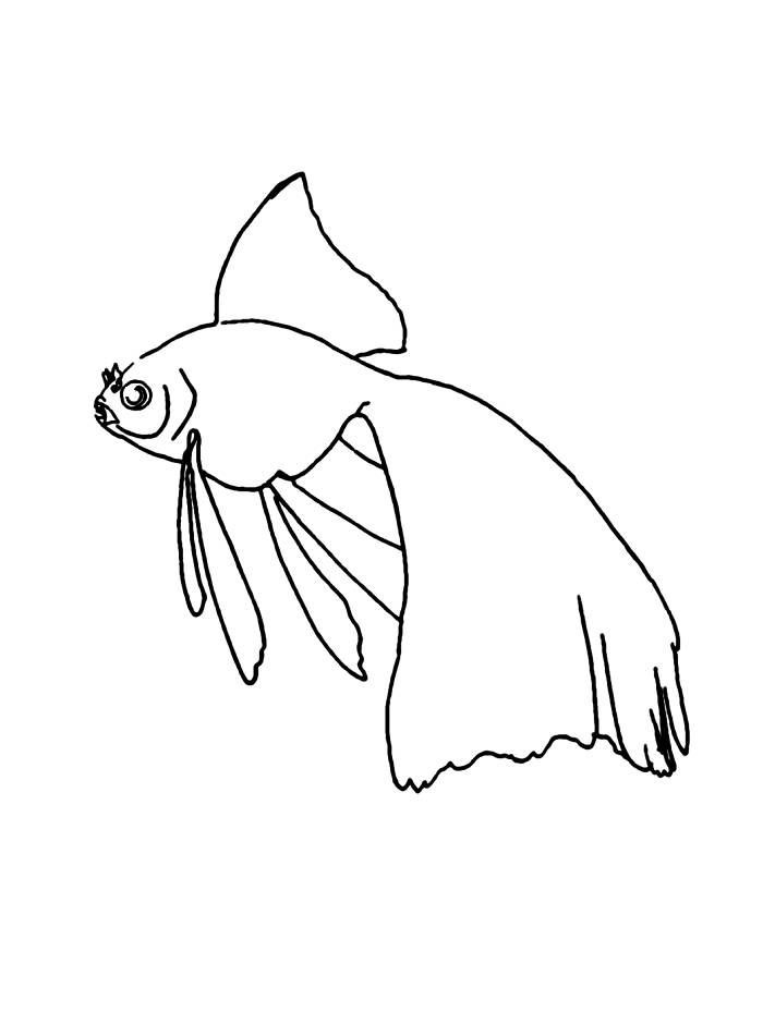 animaux020.gif - Dessins animaux à colorier