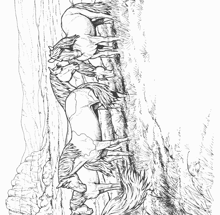 animaux022.gif - Dessins animaux à colorier