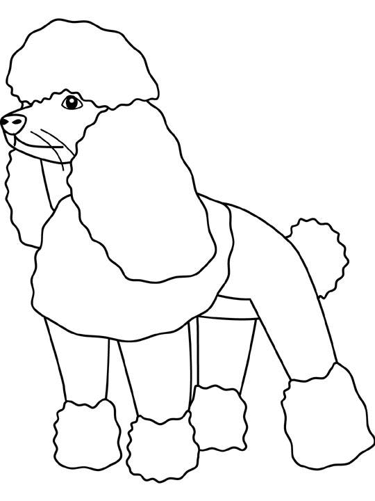 animaux037.gif - Dessins animaux à colorier