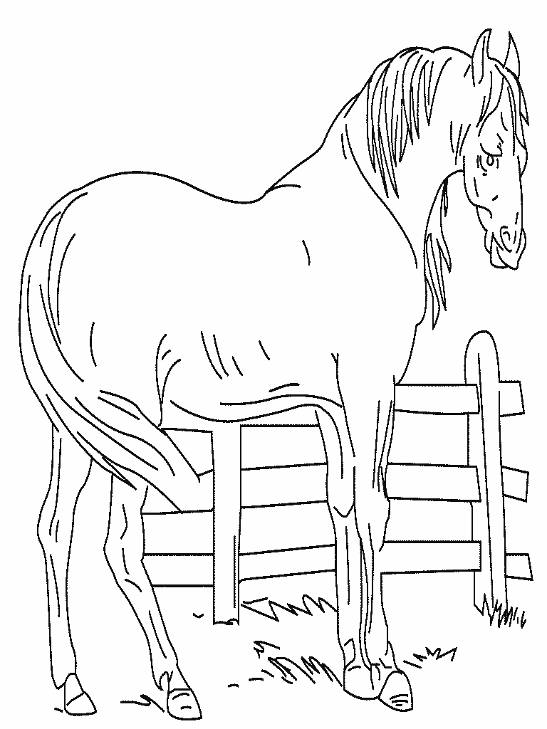 cheval009.gif - Dessins cheval à colorier