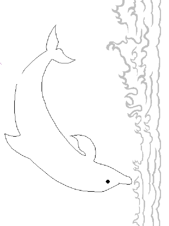 Coloriages à imprimer : dauphin