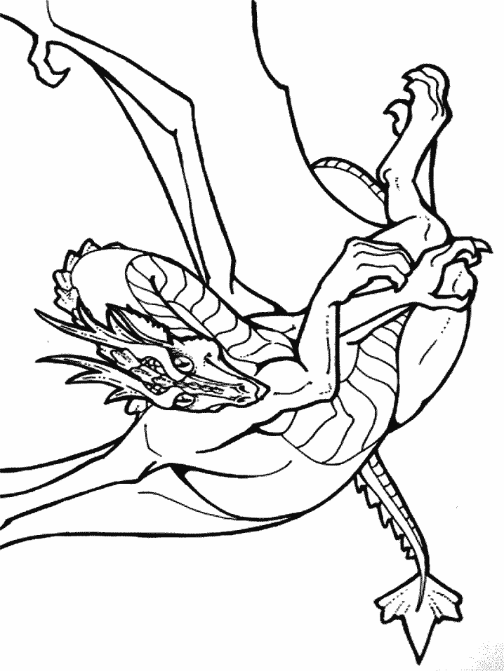 dragon008.gif - Dessins dragon à colorier