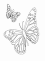 Dessins à colorier gratuits papillon