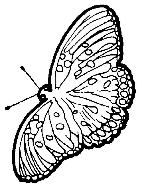 papillon_08.gif - Dessins papillon à colorier